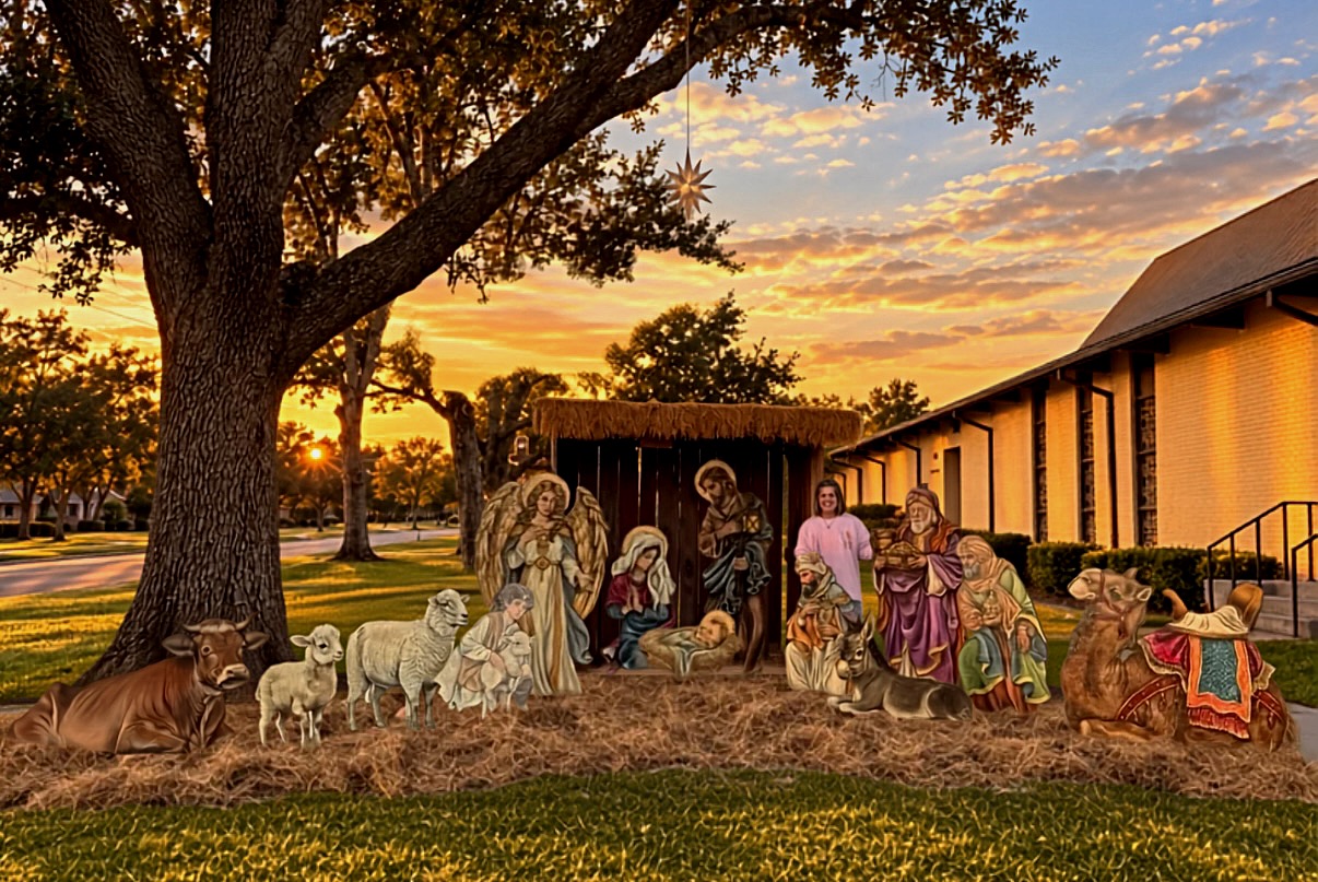 The Finch and Timber Nativity Collection